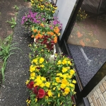 画像4.jpg