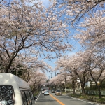 ﾌﾞﾛｸﾞ3.JPG